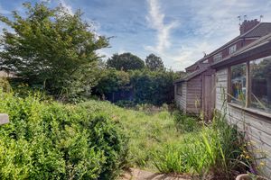 Garden- click for photo gallery